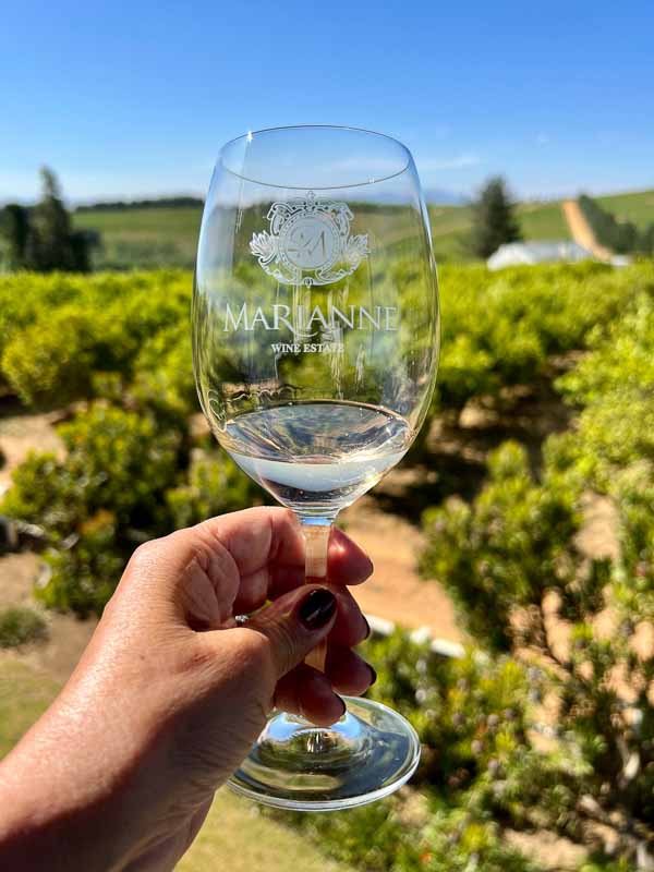 Marianne Winery, Paarl, South Africa
