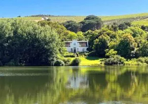 Wine Estate Stellenbosch
