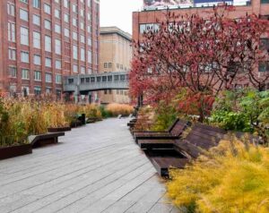 The High Line in autumn with colourful fall foliage along the park