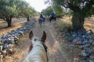 Horse riding at Fourni, Crete
