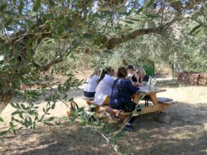 Lunch in an olive grove, Crete