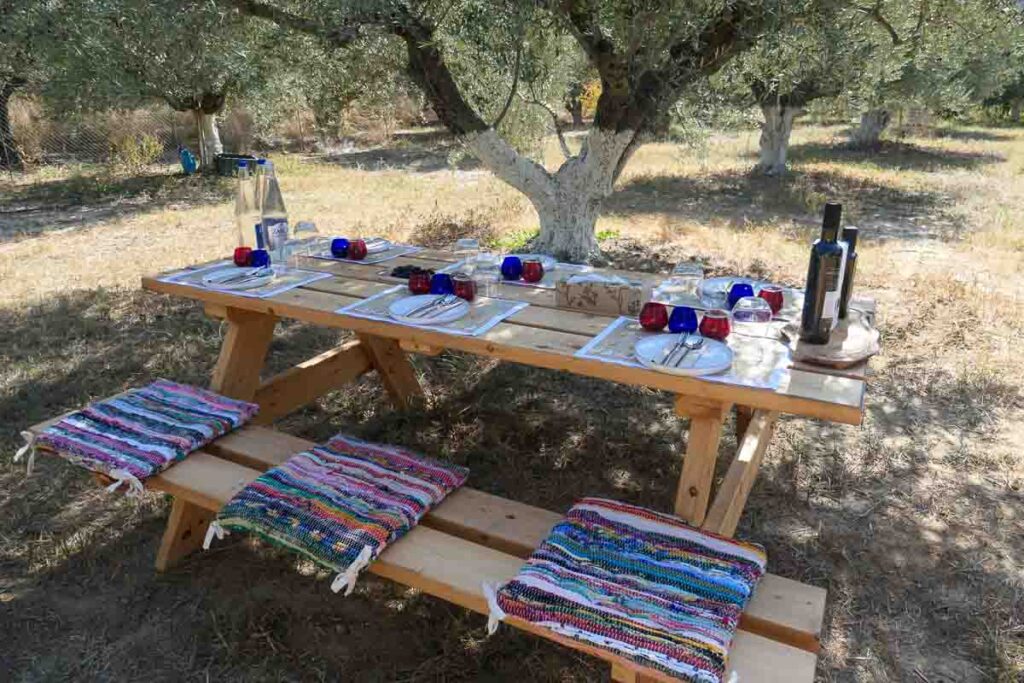 Olive Oil tasting in an olive grove with Cretan Ark, Crete