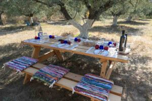 Olives and Olive Oil tasting with Cretan Ark, Crete