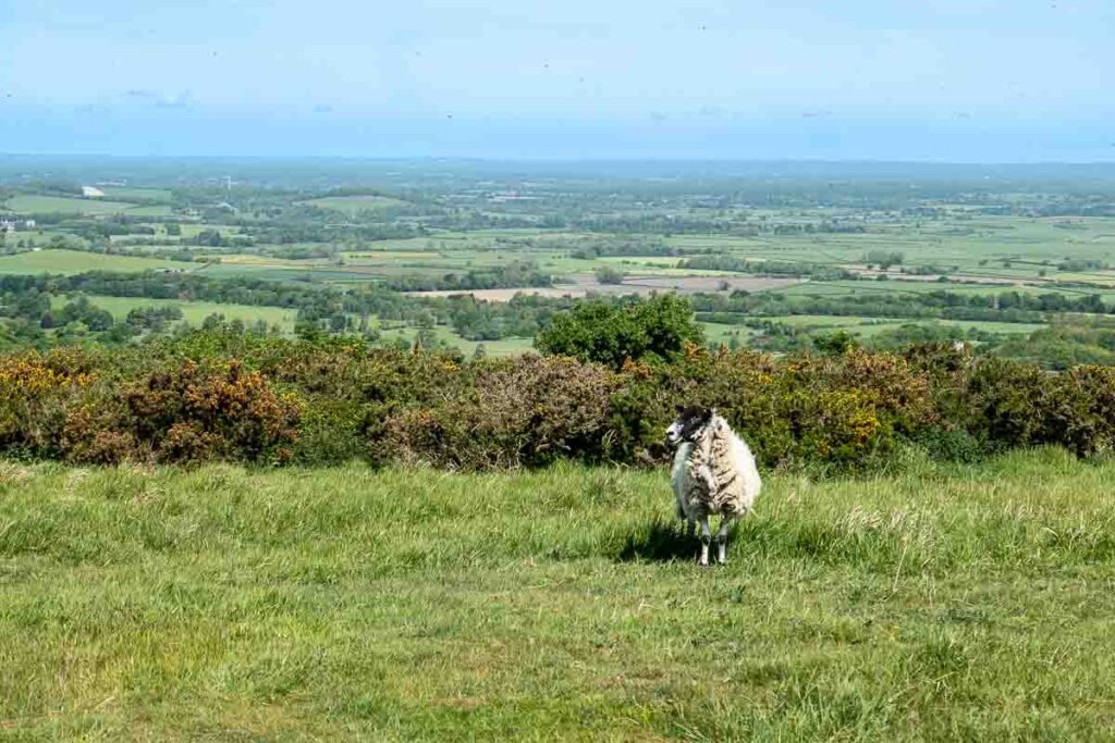 View from the top of Firle Beacon, East Sussex