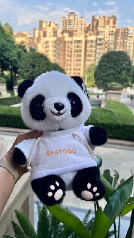 A toy panda is held up in front of some buildings and trees. The logo on it's shirt reads Eastogo