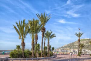 Agadir beach promenade with palm trees and blue skies