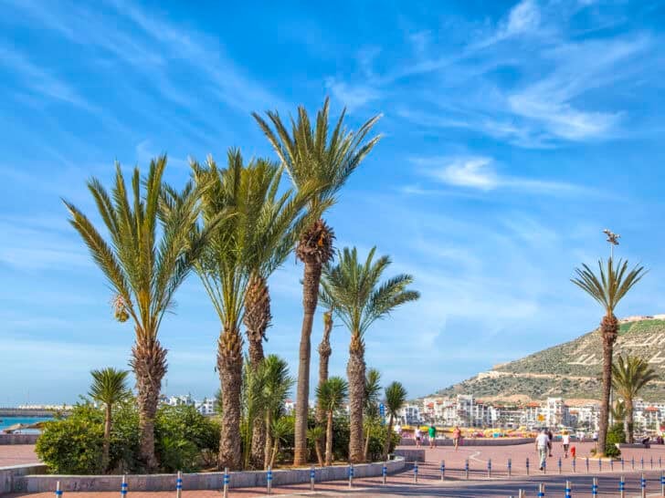 Agadir beach promenade with palm trees and blue skies