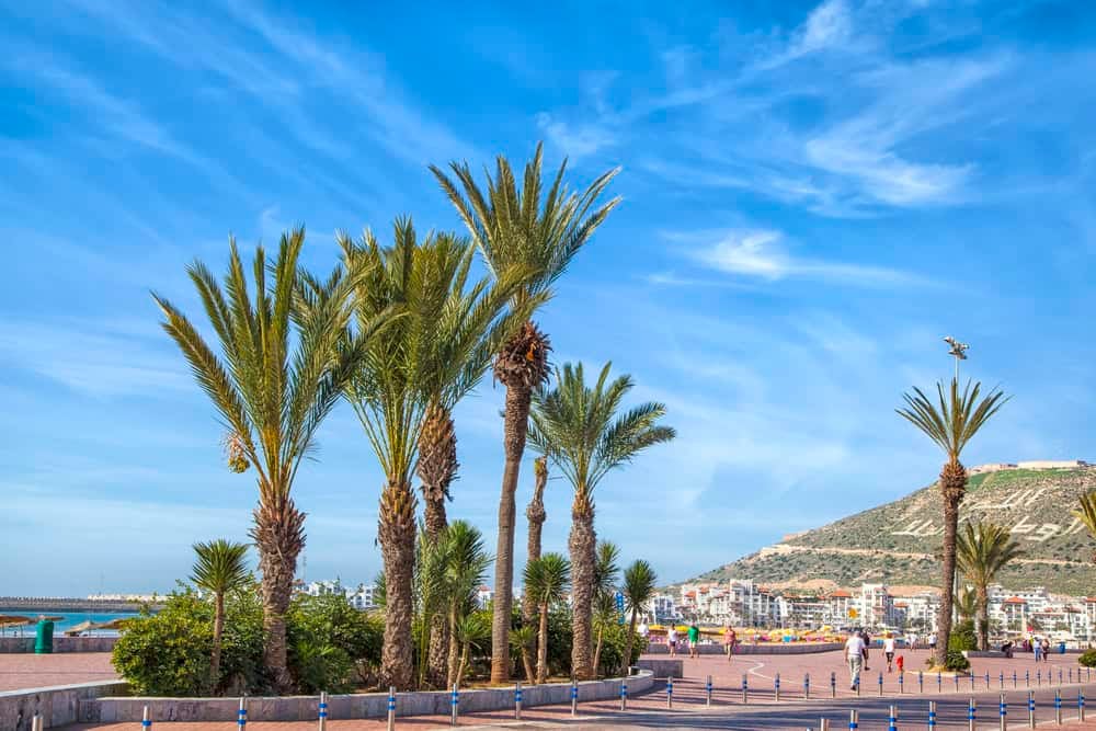 Agadir beach promenade with palm trees and blue skies