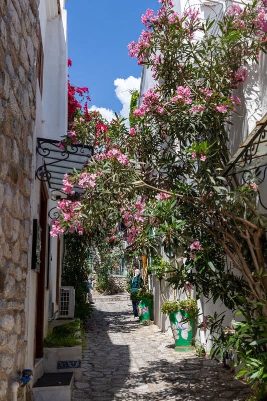 A pink bouganvillea in a Marmaris lane