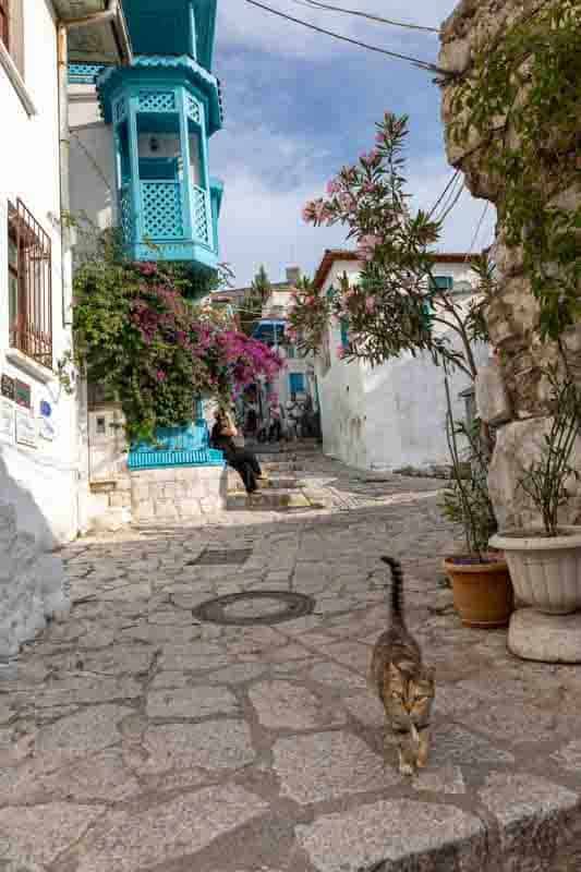 Picturesque street scene in Marmaris with colourful architecture and a cat.