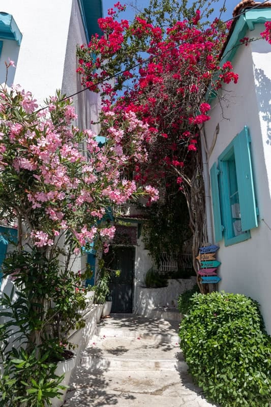 Pink and red bouganvillea forms a canopy over an alleyway lined with whitewashed buildings with turquoise blue shutters in Marmaris, Turkey